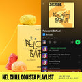 playlist pelosetti